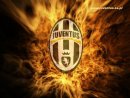 NEDVED